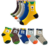 MOMISY 5 Pairs Baby kids Girl Boys Toddlers Infant Children Cotton Stretch Ankle Socks (IN, Age, 3 Years, 5 Years, BigEars)