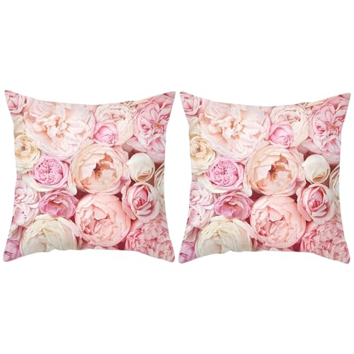 MOMISY Decorative Polyester Home Sofa Bedside Cushion Throw Pillow Covers, 45 x 45 cm, Pack of 2 (Rose-2)